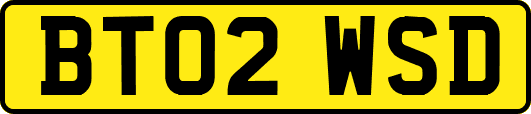 BT02WSD