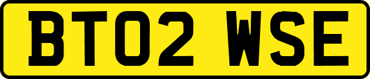 BT02WSE