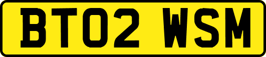 BT02WSM