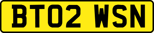 BT02WSN