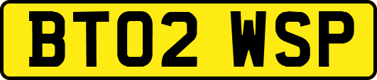 BT02WSP