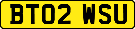BT02WSU
