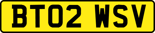 BT02WSV
