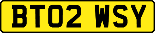 BT02WSY