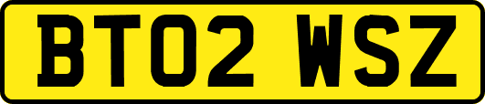 BT02WSZ