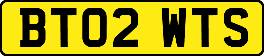 BT02WTS