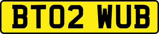 BT02WUB