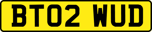 BT02WUD
