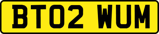 BT02WUM