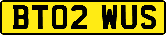 BT02WUS