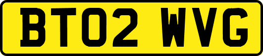 BT02WVG