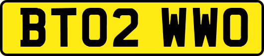 BT02WWO