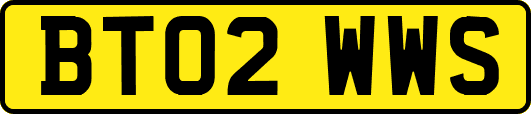 BT02WWS
