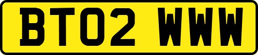 BT02WWW