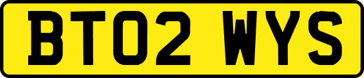 BT02WYS