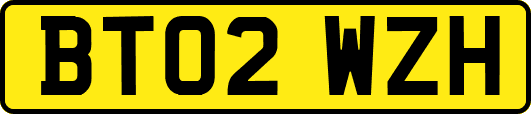 BT02WZH
