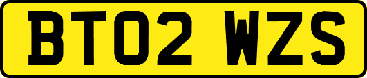 BT02WZS