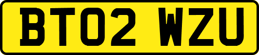 BT02WZU