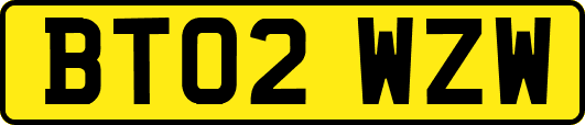 BT02WZW
