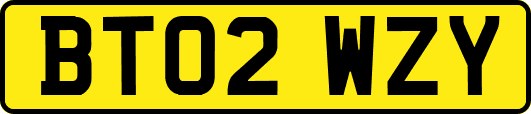 BT02WZY