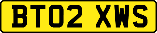 BT02XWS