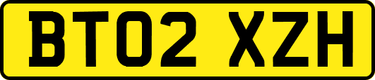 BT02XZH