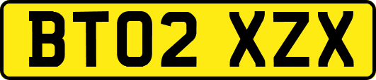 BT02XZX
