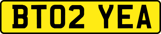 BT02YEA
