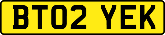 BT02YEK
