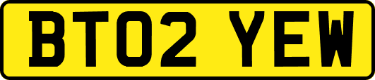 BT02YEW