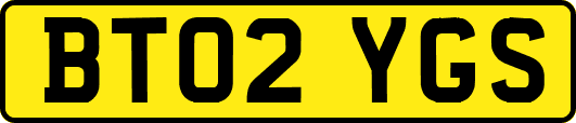 BT02YGS
