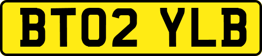 BT02YLB