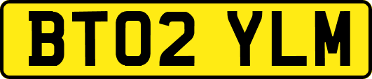 BT02YLM