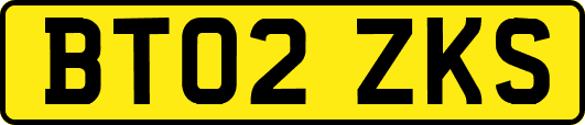 BT02ZKS
