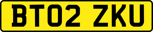 BT02ZKU