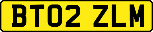 BT02ZLM