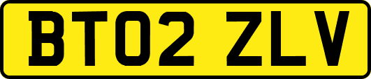 BT02ZLV