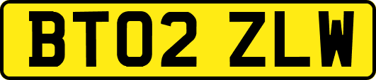 BT02ZLW
