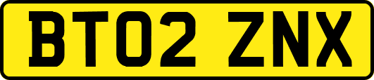 BT02ZNX