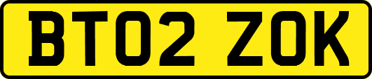 BT02ZOK