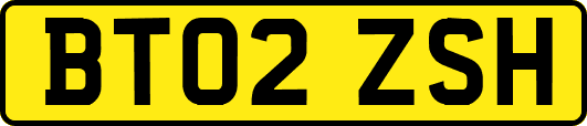BT02ZSH
