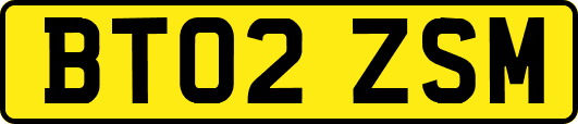 BT02ZSM