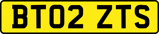 BT02ZTS