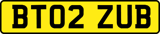 BT02ZUB