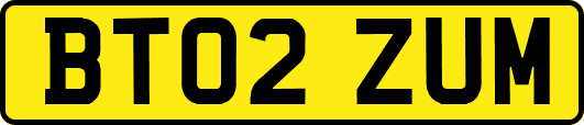 BT02ZUM