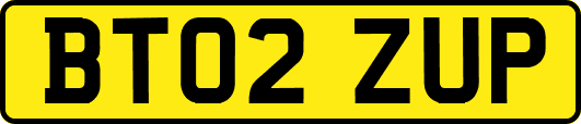 BT02ZUP