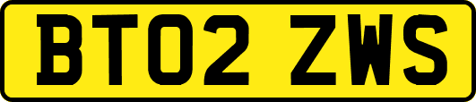 BT02ZWS