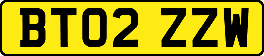 BT02ZZW