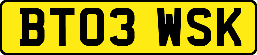 BT03WSK