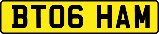 BT06HAM
